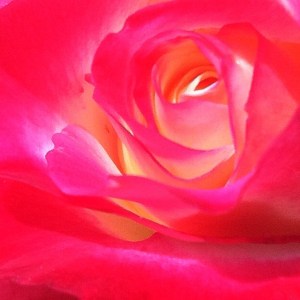 Featured Image -- 590