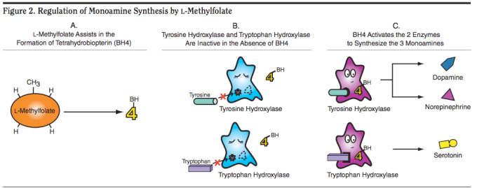 MONOAMINE synthesis