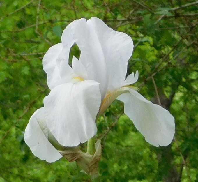 DSCN0197 - Version 2