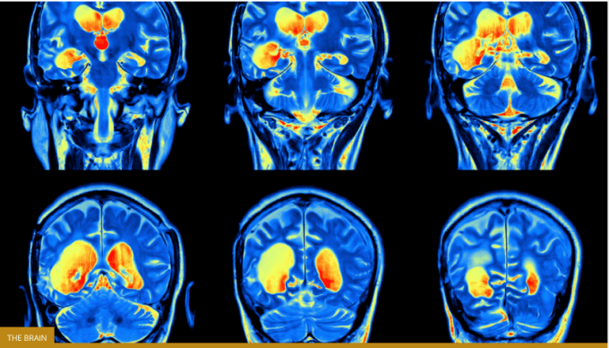 Screen Shot 2017-05-01 at 3.25.35 PM